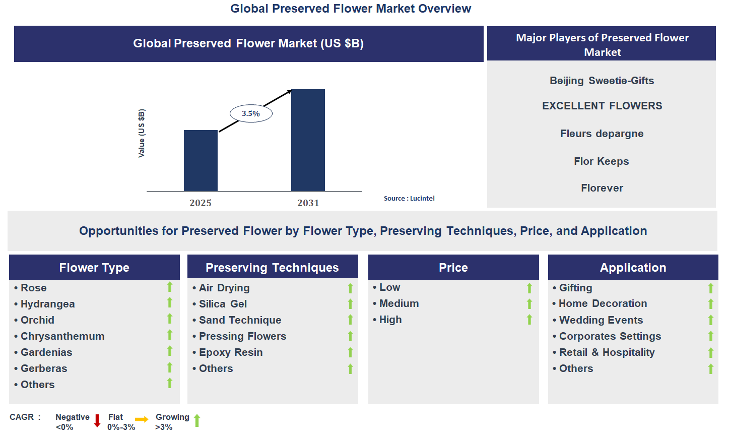 Preserved Flower Market Trends and Forecast