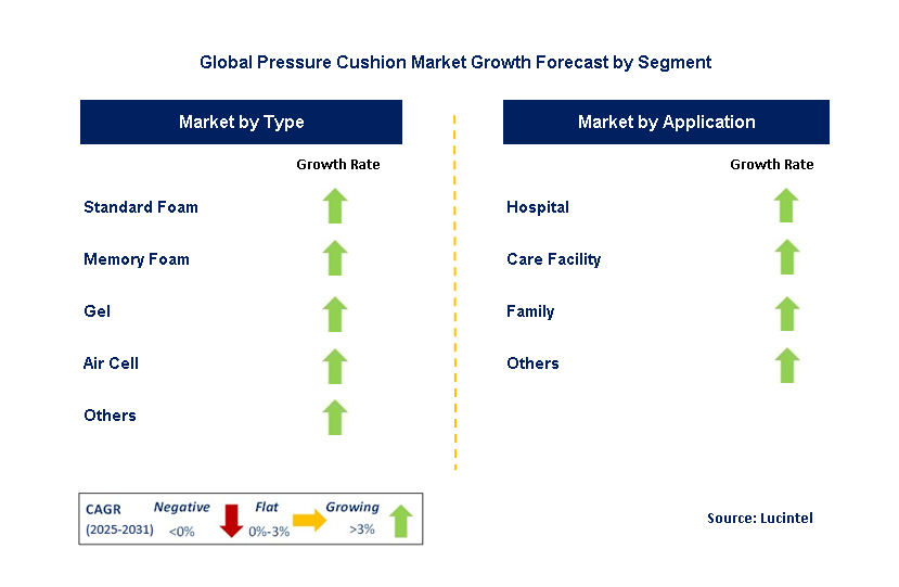 Pressure Cushion Market by Segment