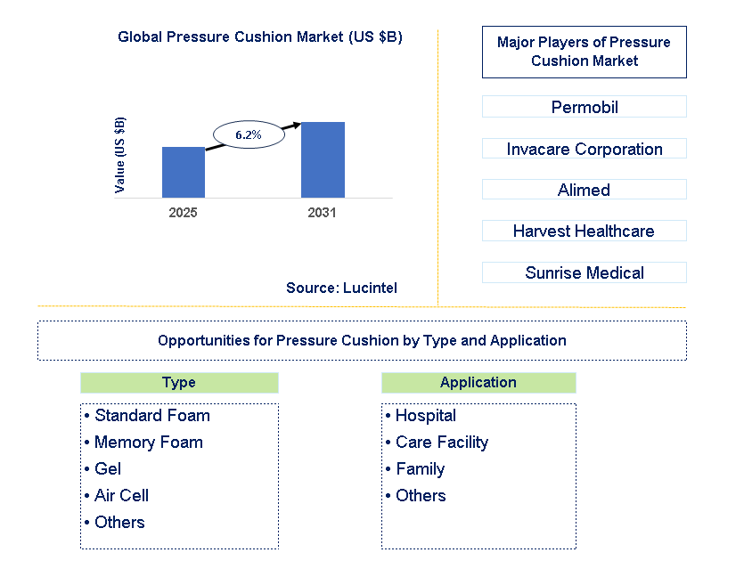Pressure Cushion Market Trends and Forecast