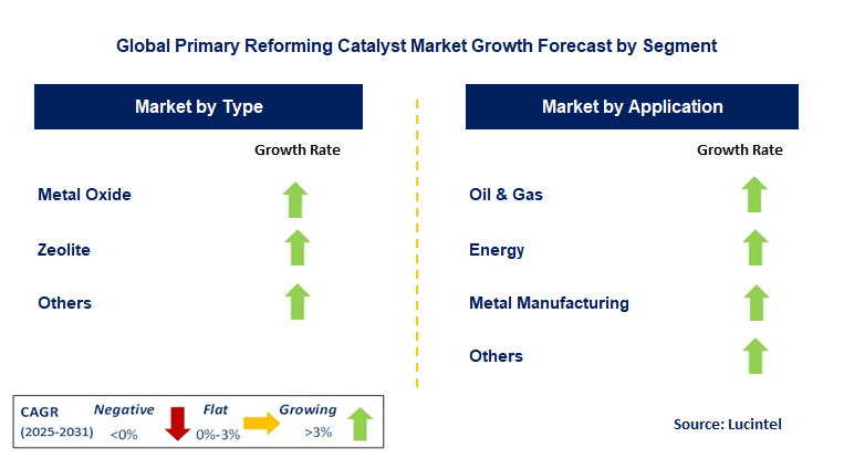 Primary Reforming Catalyst Market by Segment
