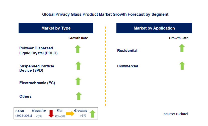 Privacy Glass Product Market by Segment