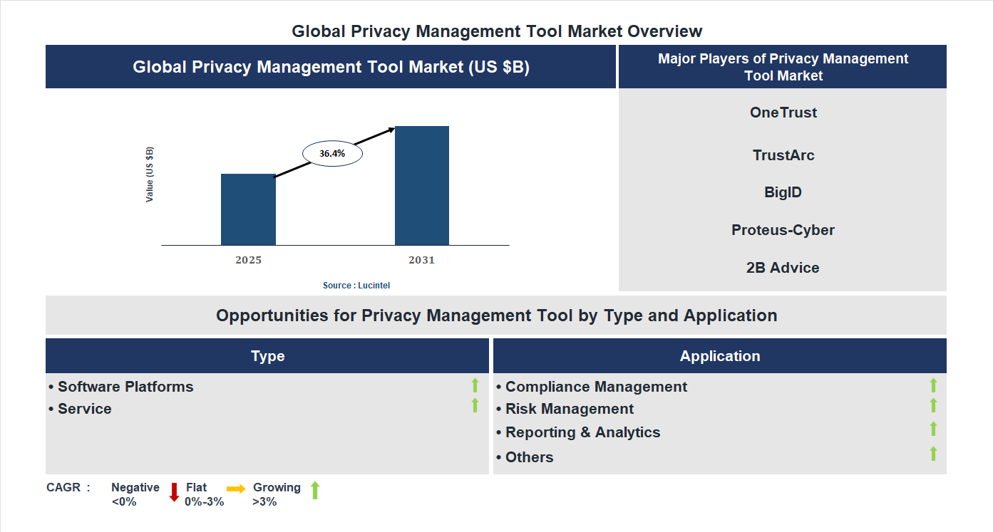 Privacy Management Tool Market Trends and Forecast