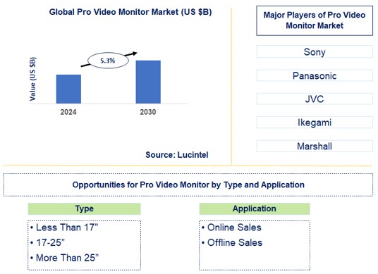 Pro Video Monitor Trends and Forecast