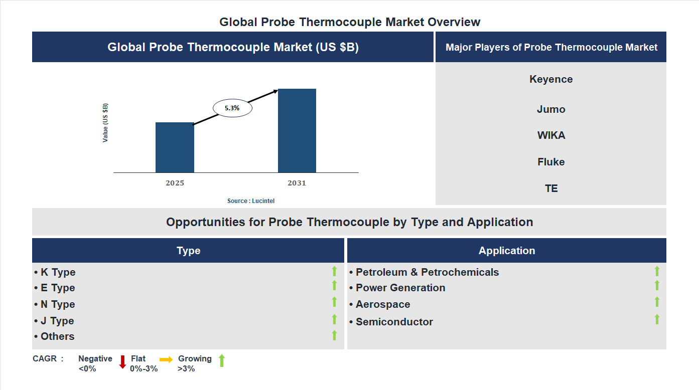 Probe Thermocouple Market Trends and Forecast