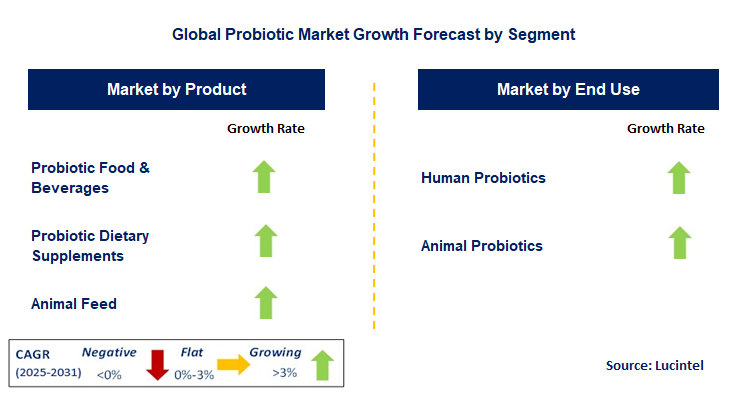Probiotic Market by Segment