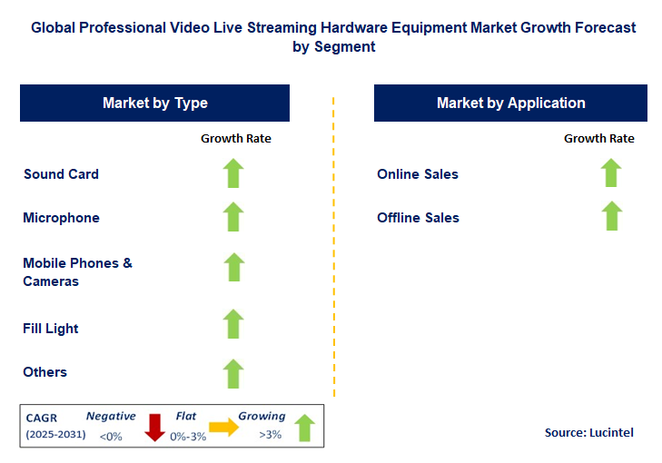 Professional Video Live Streaming Hardware Equipment Market by Segment