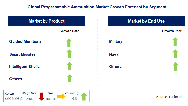 Programmable Ammunition Market by Segment