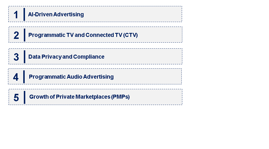 Emerging Trends in the Programmatic Advertising Market