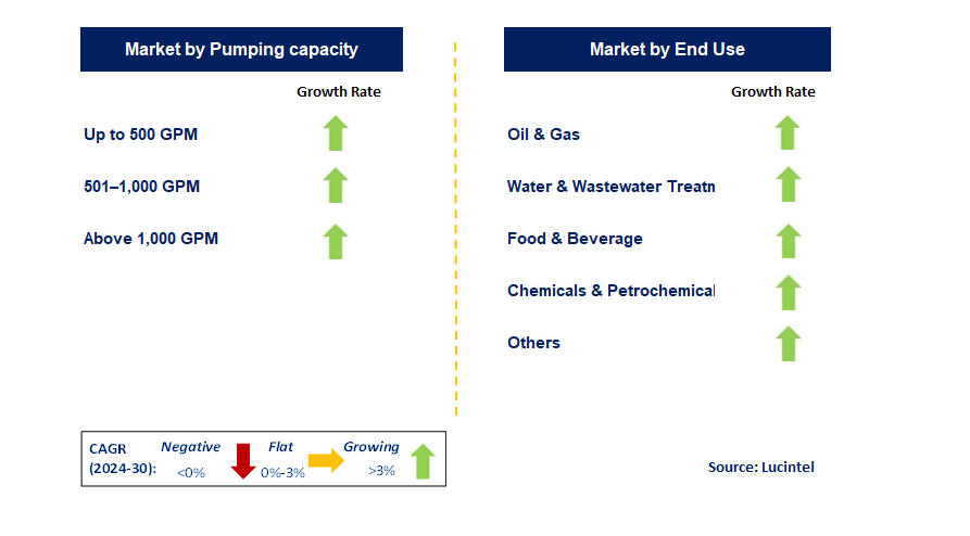 Progressing Cavity Pump by Segment