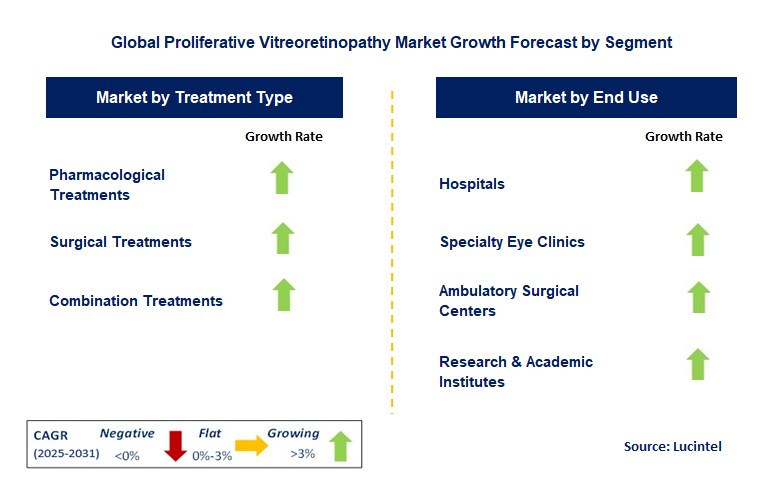 Proliferative Vitreoretinopathy Market by Segment