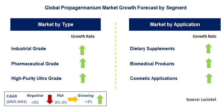 Propagermanium Market by Segment
