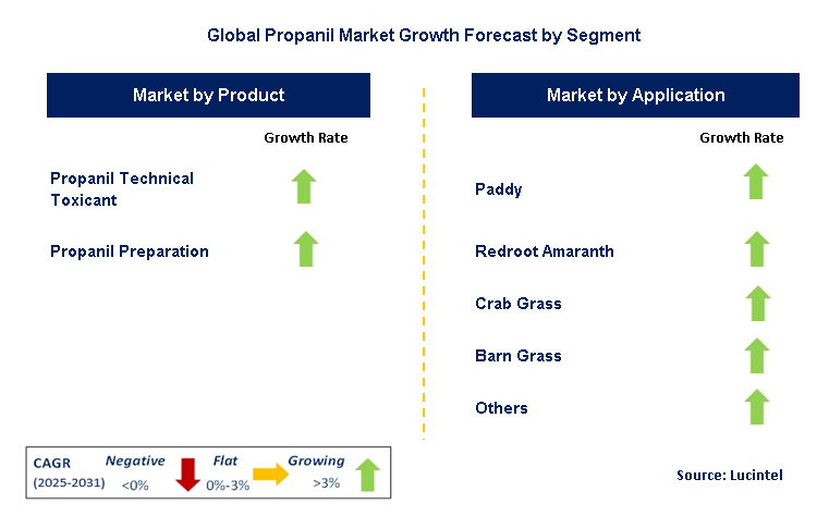 Propanil Market by Segment