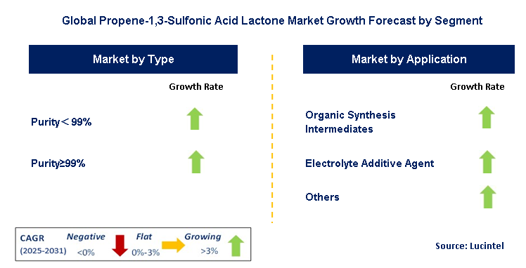Propene-1,3-Sulfonic Acid Lactone Market by Segment