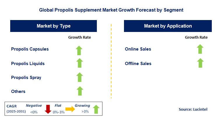 Propolis Supplement Market by Segment