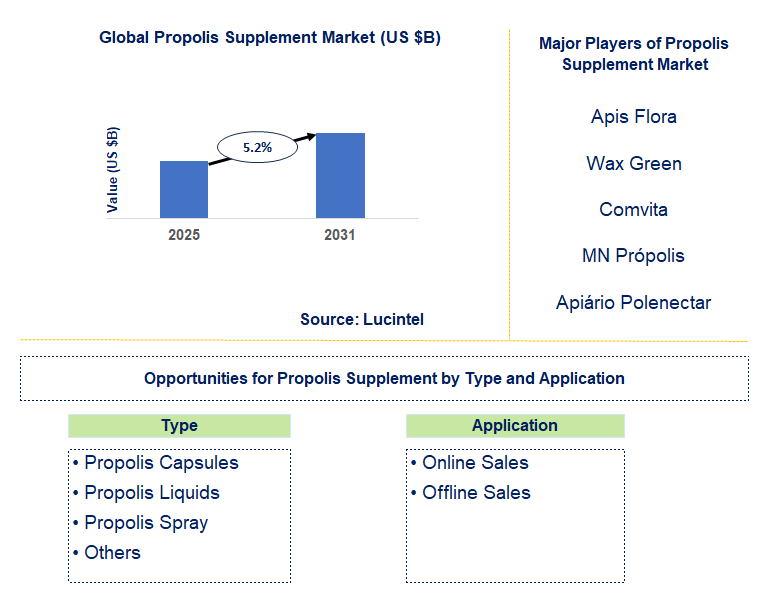 Propolis Supplement Market Trends and Forecast