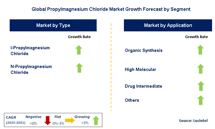 Propylmagnesium Chloride Market by Segment