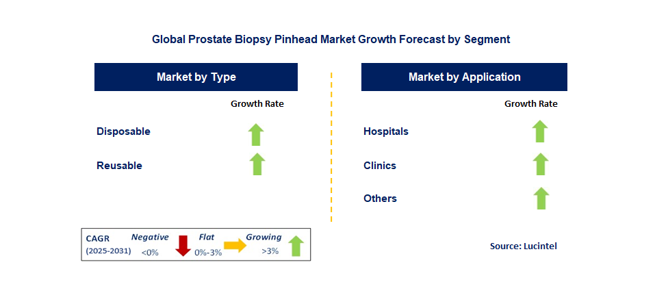 Prostate Biopsy Pinhead Market by Segment