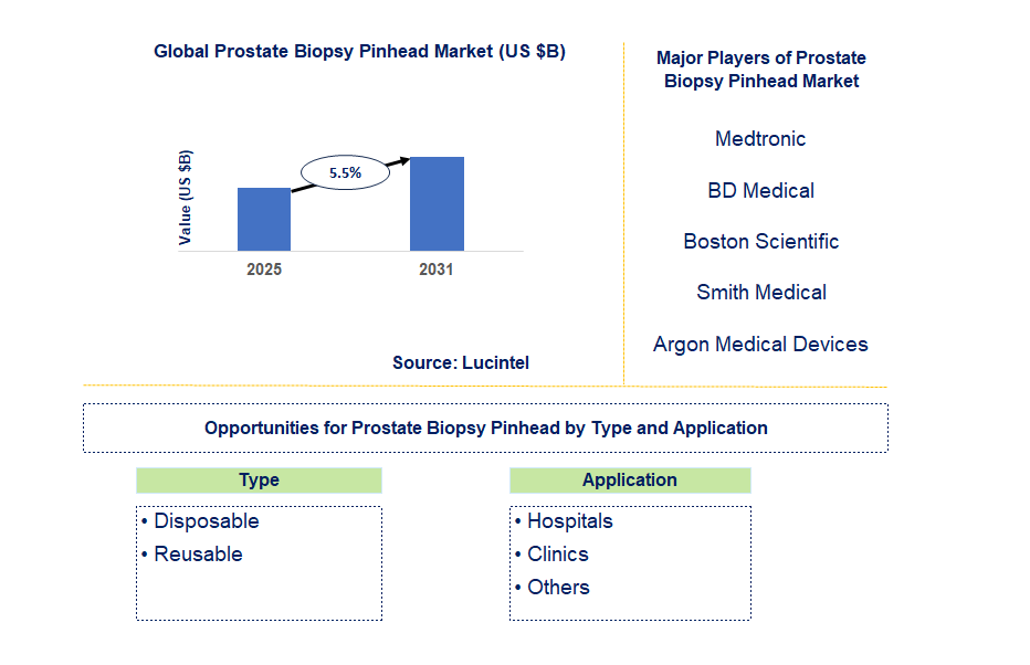 Prostate Biopsy Pinhead Market Trends and Forecast