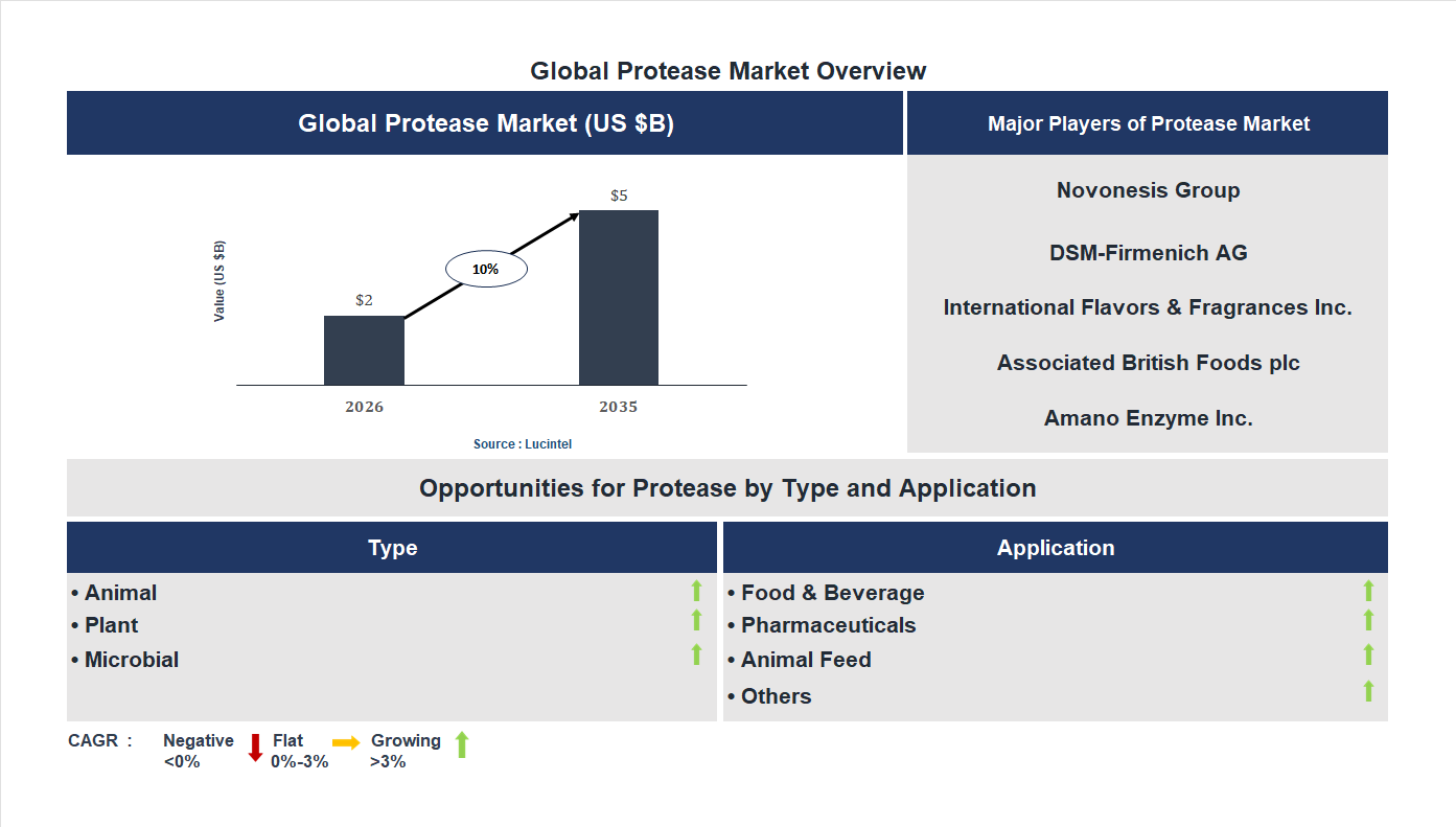 Protease Market Trends and Forecast