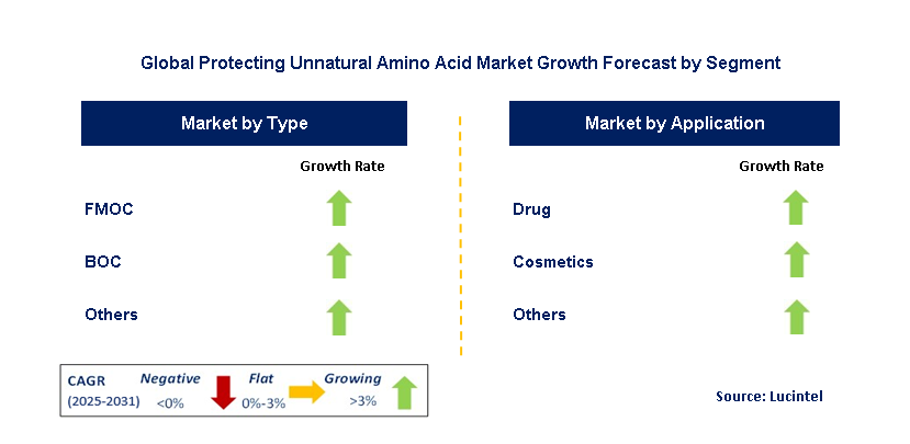 Protecting Unnatural Amino Acid Market by Segment