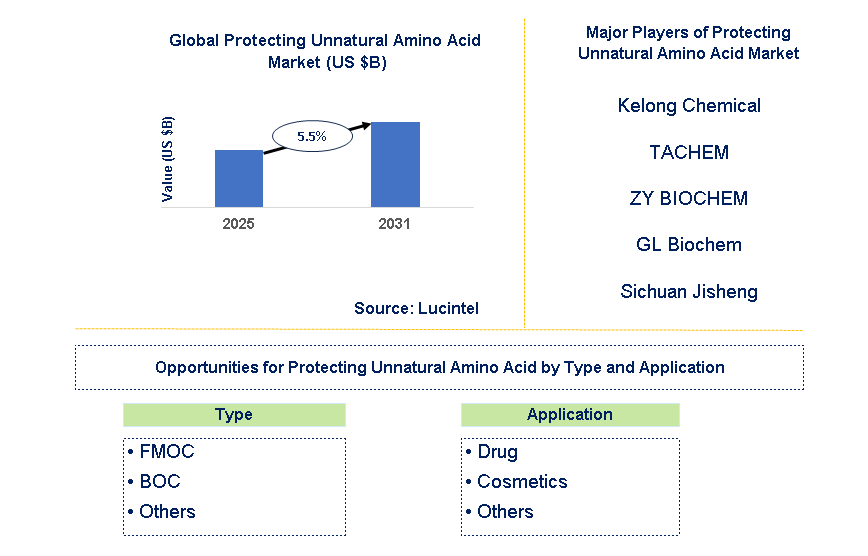 Protecting Unnatural Amino Acid Market Trends and Forecast