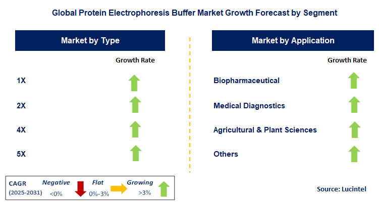 Protein Electrophoresis Buffer Market by Segment