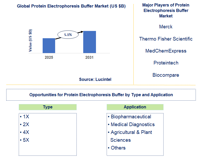 Protein Electrophoresis Buffer Market Trends and Forecast