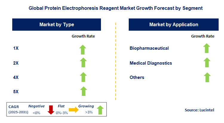 Protein Electrophoresis Reagent Market by Segment