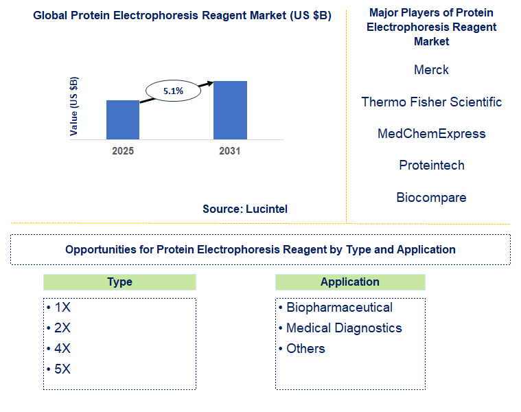Protein Electrophoresis Reagent Market Trends and Forecast