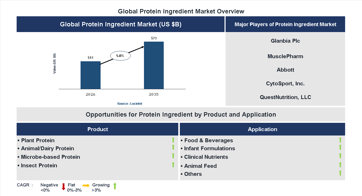 Protein Ingredient Market Trends and Forecast