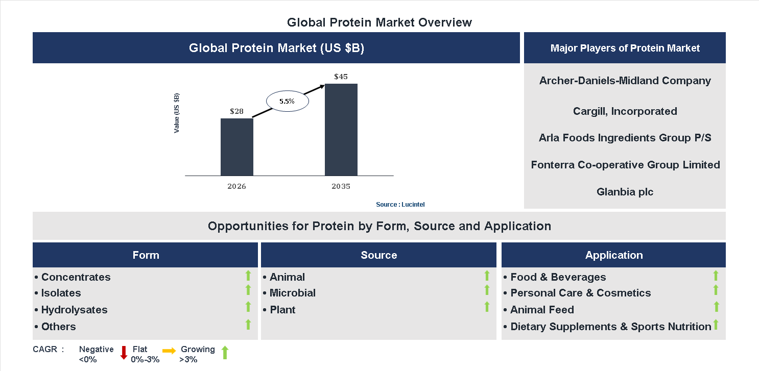 Protein Market Trends and Forecast