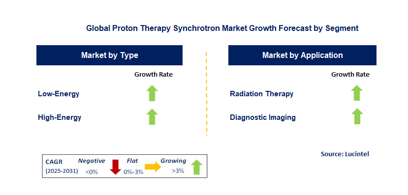 Proton Therapy Synchrotron Market by Segment
