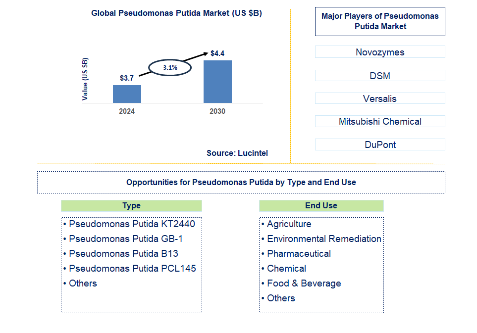 Pseudomonas Putida Trends and Forecast