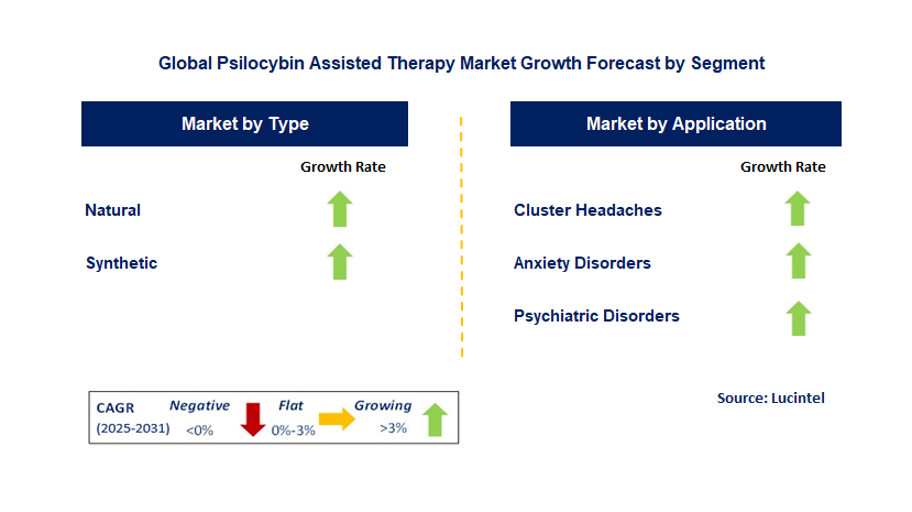 Psilocybin Assisted Therapy Market by Segment