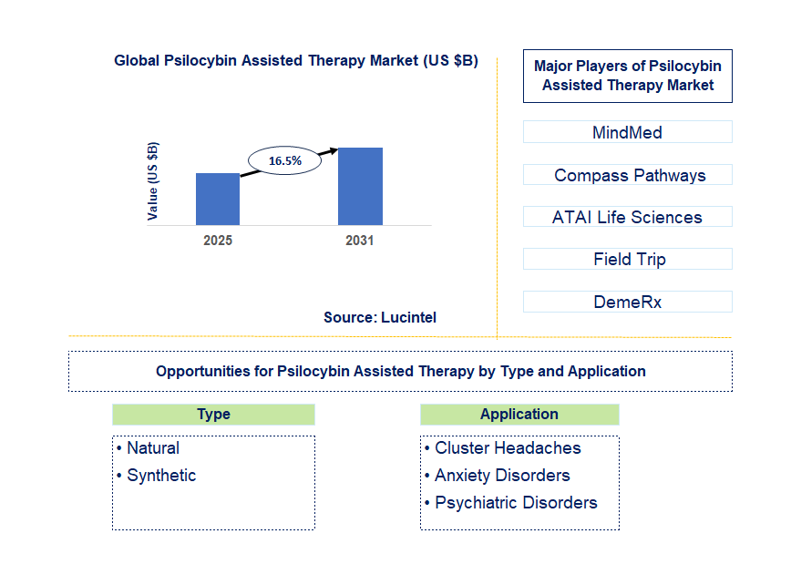 Psilocybin Assisted Therapy Market Trends and Forecast