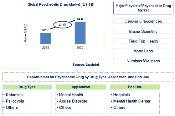 Psychedelic Drug Trends and Forecast