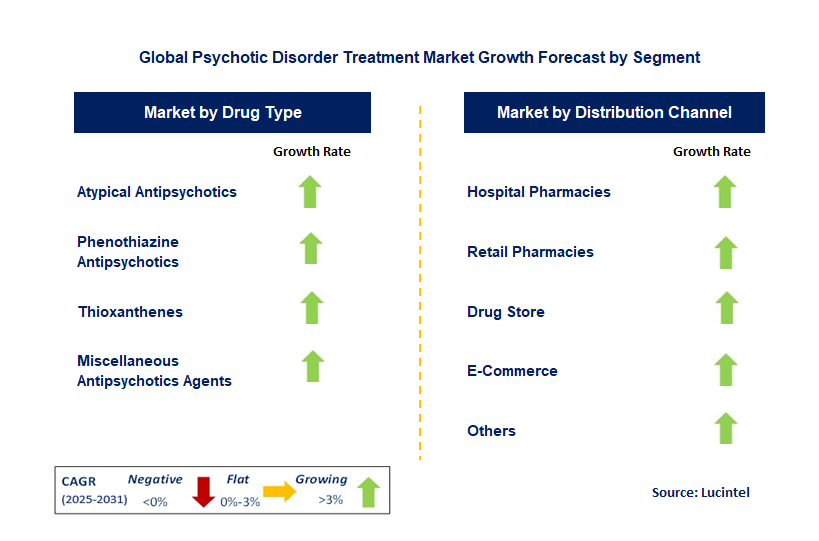 Psychotic Disorder Treatment Market by Segment