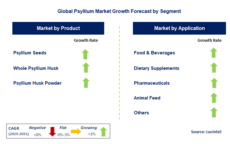 Psyllium Market by Segment