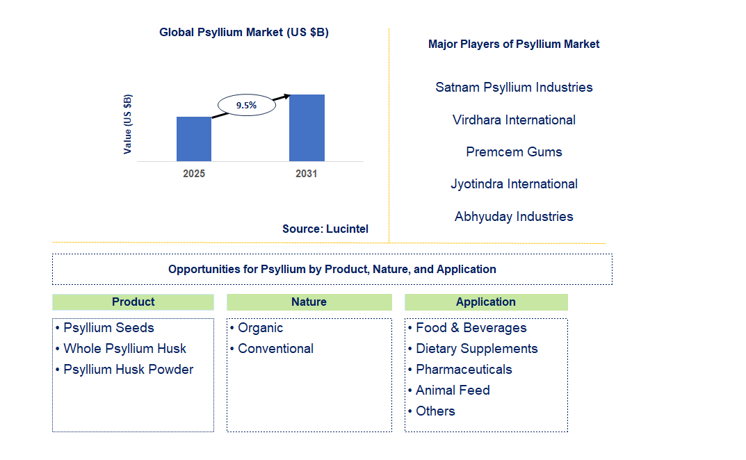 Psyllium Market Trends and Forecast