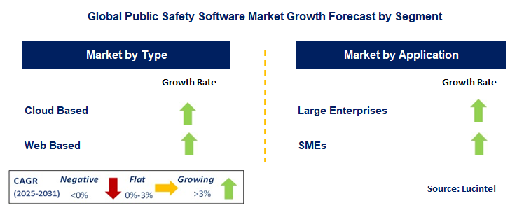 Public Safety Software Market by Segment
