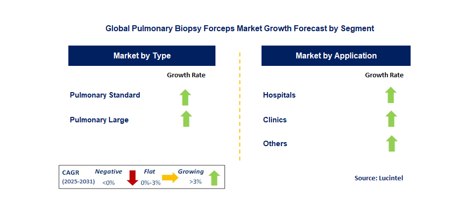 Pulmonary Biopsy Forceps Market by Segment