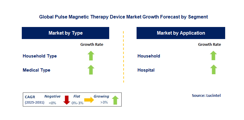 Pulse Magnetic Therapy Device Market by Segment