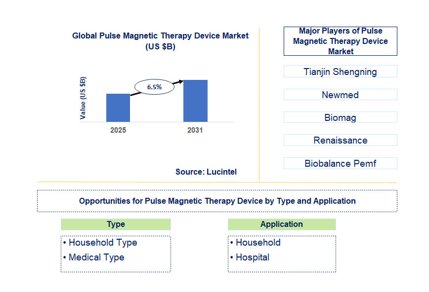 Pulse Magnetic Therapy Device Market Trends and Forecast