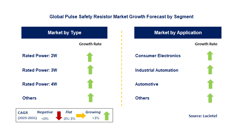 Pulse Safety Resistor Market by Segment