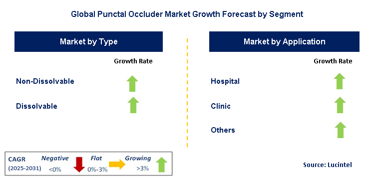 Punctal Occluder Market by Segment