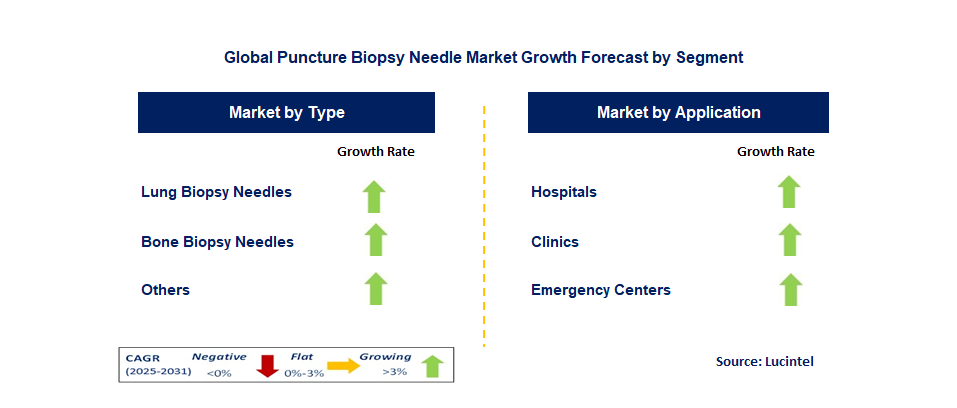 Puncture Biopsy Needle Market by Segment