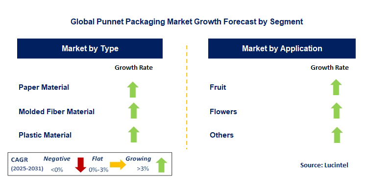Punnet Packaging Market by Segment