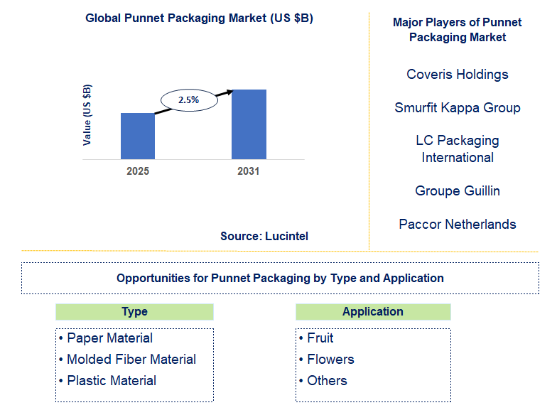 Punnet Packaging Market Trends and Forecast