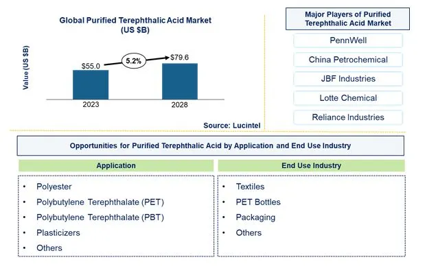 Purified Terephthalic Acid Market by Application, and End Use Industry