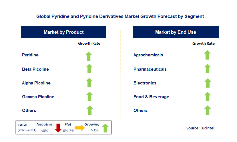 Pyridine and Pyridine Derivative Market by Segment